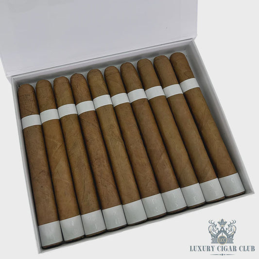 Vicente Sleek - white
